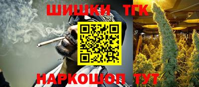 стафф Камышлов
