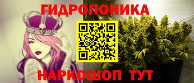 мдпв Кимры
