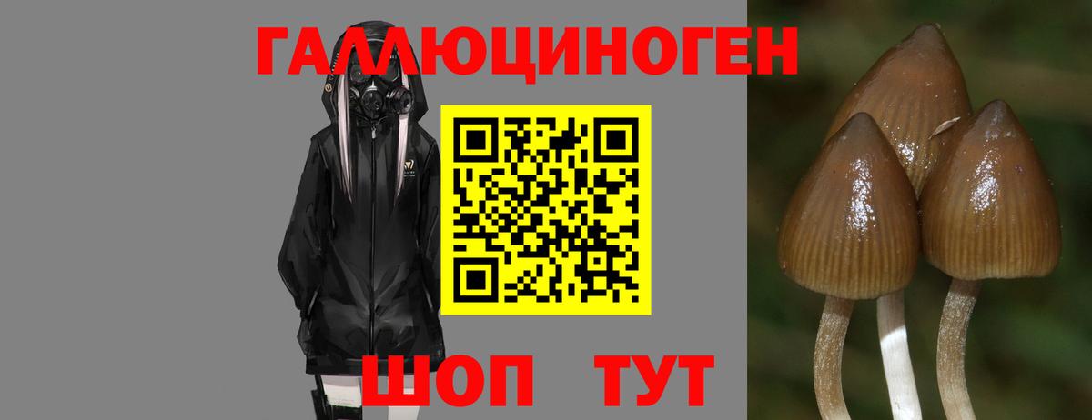 Галлюциногенные грибы мицелий  Галлюциногенные грибы мухоморы  Вход с VPN  где продают   Электросталь 